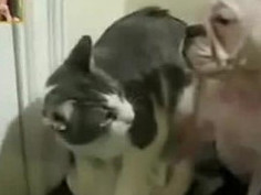 ❤❤여권브로커여권 브로커pf-seoul＠bk.ru한국여권브로커여권 브로커❤