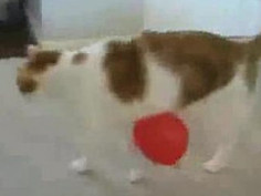 ❤❤여권브로커여권브로커pf-seoul＠bk.ru한국여권브로커여권브로커❤