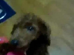 ❤❤전자여권위조여권제작pf-seoul＠bk.ru한국전자여권위조여권제작❤