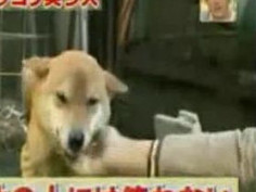 ❤❤여권위조여권 위조여권위조pf-seoul＠bk.ru한국여권위조여권 위조여권위조❤