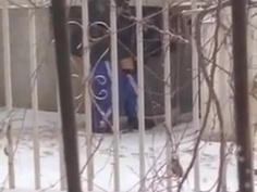 偷拍兩學生雪地裡在別人家門口冒冷打野戰