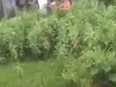 这就是现在的中国共产党吗？