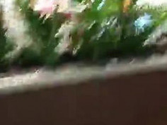 世界这么大，大家一块看