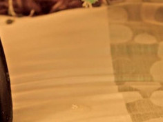 招天津女奴母狗
微信 xiaoyi_211314
注明 tumblr