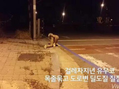 2016년 11월15일 야노 동영상 도로가에서 목줄걸고 딜도질후 질질싸기 걸레자지년은 아무데서나 쑤시고 싼답니다 만나면 따귀때리고 자빠뜨린다음에 씹창을내주세요 ㅋㅋㅋ 아 이건 정말 힘들게 찍었네요 교차로라 차들어오면 직빵걸립니다 Yes yes, I love this.