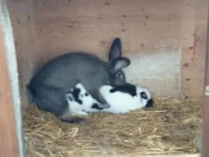 #섹스 #텀블러랭커 12만이 넘는 팔뤄 님들께 감사하며, 요즘 일이 바빠져서 불규칙적인데 최대한 노력 하겠습니다. 즐거운 주말 되세요