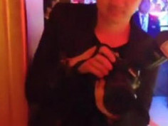 下面那条白线是耳机？