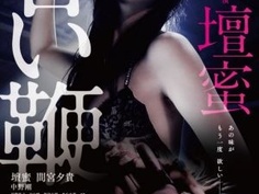 《甜蜜皮鞭》2013日本限制级悬疑.加长无删减導演版.BD720P.日语中字