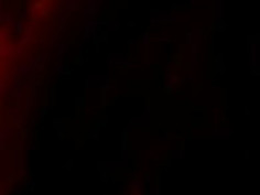 복종하는 노예년 ㅋㅋ 주인님 자지 열심히 빠는게 보기 좋네요