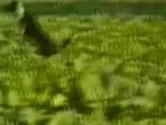 ❤❤전자 여권위조pf-seoul＠한국전자 여권위조❤