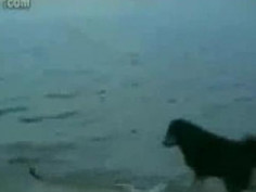 ❤❤여권위조여권위조pf-seoul＠한국여권위조여권위조❤