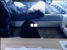 正妹有電臀！對著抱枕也能摩擦到高潮...一邊呻吟一邊叫歐爸：還是抱枕上有裝那根？