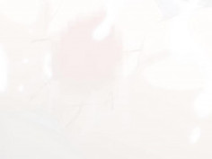 [桜都字幕组]2017年5月合集 - 6