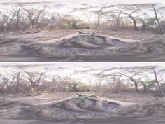 BANGERS-Anya Olsen&amp;Courtney Taylor fucking in the WOODS