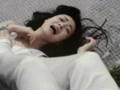 葉子楣_特區愛奴_精選片段