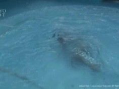 激痛無視令嬢輪姦2本挿し 谷村しおり