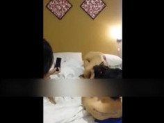 曾经清纯的班花被老公带去参加换偶联谊聚会