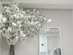 KBJ KOREAN BJ 2017062502 - 2