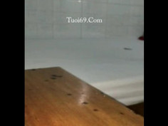 Thằng em xăm trổ chơi con ghệ Học Sinh, Gái ngoan lại thích giang hồ - VN