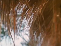 ナイト ＆ ディ