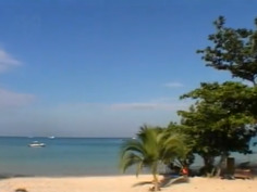 Pleasure Island - FDD-1308