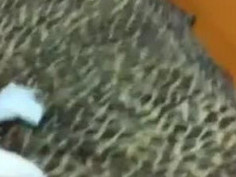 [自拍露臉]【制服誘惑】女友來家玩被淋濕～給她大號襯衫！穿出來都快撐不住了啊～帶到鏡子前面直接開始啪！（有影）