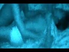 盗撮された貞淑妻 ホテル出張マッサージ中出し3≫人妻・熟女Ｈ動画｜奧の淫