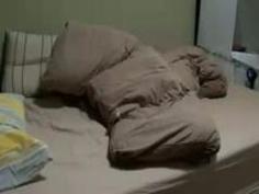 【無修正】マジ素人カップルのセックスを定点観測