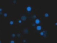 店員 ご奉仕 大沢美加 奉仕 ショップ店員