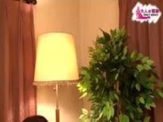 親族相姦 きれいな叔母さん