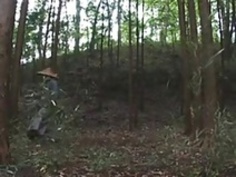 マフィアによって虐待された忍者マリアオザワ