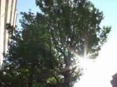 素人 中出し ナンパ 企画 湊莉久