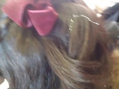 好きなコレクション