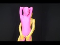 HPSART ZENTAI