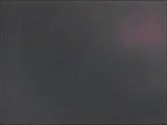 隠しカム・ジャパン（2）