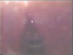 ヒドゥン・カム・トイ・ジャップ - 3の3