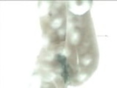 JPナースシャワー - 検閲 - 3の4