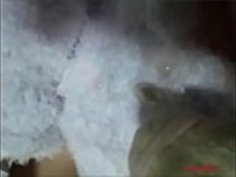 もちこ 2012-11-26 05-16