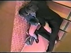 貴重なアジアのひよこが感じた