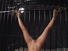 CFNF小柄な女性と一緒の日本のレズビアンのBDSM字幕付き