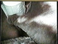 日本のリアルアマチュア妻12