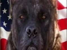 裸のアジアのティーンパート... 6