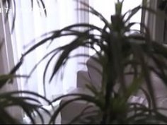 美人お姉さんと濃厚キスからジーンズを脱がしてエロいTバック越しにバックで挿入