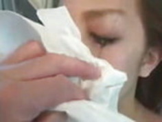 妊娠した日本の妻、牛乳のための乳牛