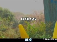 リーフヒートマイル