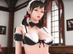 スーパーいたずらメイド2 3D