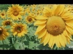 愛の新世界で鈴木さわ - 2