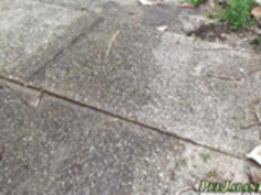 ヘアリープッシーアジアおしっこ