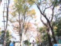 しおりうたは彼女の女に過酷な刺激のために懇願します