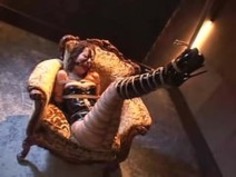 タイトロープボンデージとballgagged日本